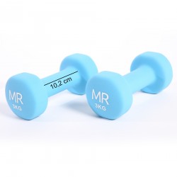 Rebecca Mobili Set Halteres Bleu Clair Poignee Ergonomique Fitness Gym 2 x 3 Kg