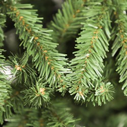 Rebecca Mobili Árbol de Navidad artificial de abeto verde de 150 cm, realista y grueso, 497 ramas