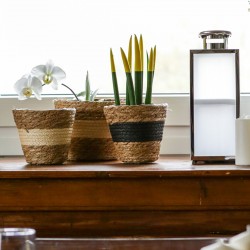 Rebecca Mobili Set 3 Outdoor Plant Baskets Cattail Lined Brown Beige