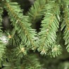 Rebecca Mobili Christmas Tree 180 cm Realistic Green Fir Artificial with 645 Branches