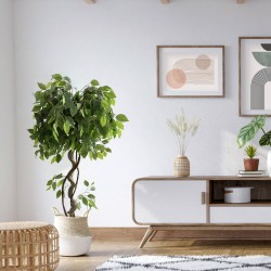 Artificial Ficus Plant Rebecca Mobili Akdem 120x40x40 PEVA Polyethylene Green Brown