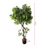 Pianta artificiale Ficus Rebecca Mobili Akdem 120x40x40 PEVA Polietilene Verde Marrone