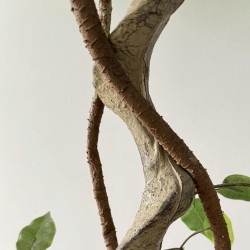 Pianta artificiale Ficus Rebecca Mobili Akdem 120x40x40 PEVA Polietilene Verde Marrone