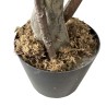 Artificial Ficus Plant Rebecca Mobili Akdem 120x40x40 PEVA Polyethylene Green Brown