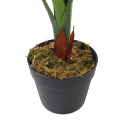 Planta artificial de Pothos Rebecca Mobili Hieki 90x35x35 PEVA Polietileno Verde Marrón