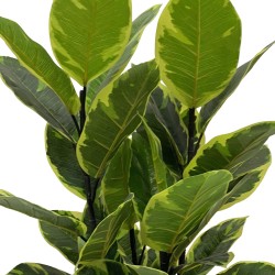 Artificial Indian Fig Plant Rebecca Mobili Baishi 90x35x35 PEVA Polyethylene Green Brown