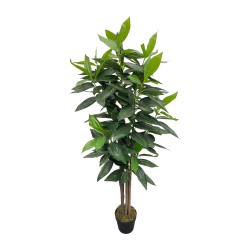 Artificial Cassia Plant Rebecca Mobili Kori 145x40x40 PEVA Wood Green Brown