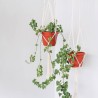 Wall-Mounted Plant Holder Rebecca Mobili Sarracenia 100x25x25 Polycotton Beige Boho