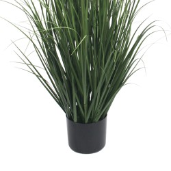 RE7302 - Pianta di lavanda