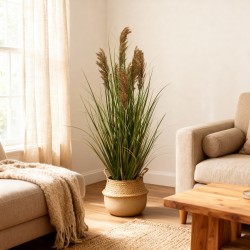 RE7303 - Pianta di erba della pampas