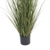 RE7303 - Pianta di erba della pampas