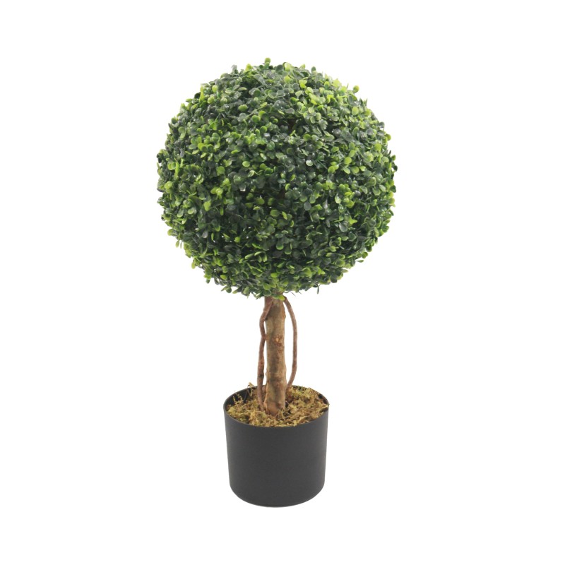 RE7304 - Pianta di bosso