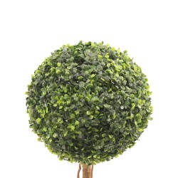 RE7304 - Pianta di bosso