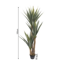 RE7305 - Pianta di yucca