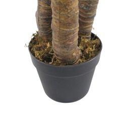 RE7305 - Pianta di yucca